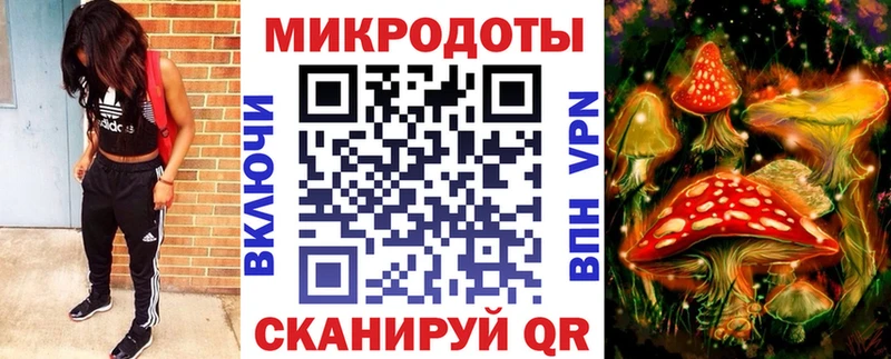 Купить закладки  Гаврилов-Ям  Галлюциногенные грибы Psilocybine cubensis 